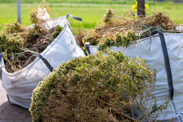 Best Same-Day Junk Removal  in Lumberton, MS
